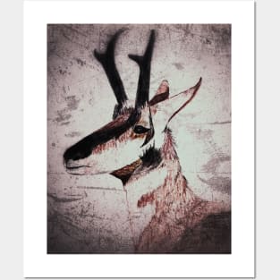 Pronghorn Antelope Posters and Art